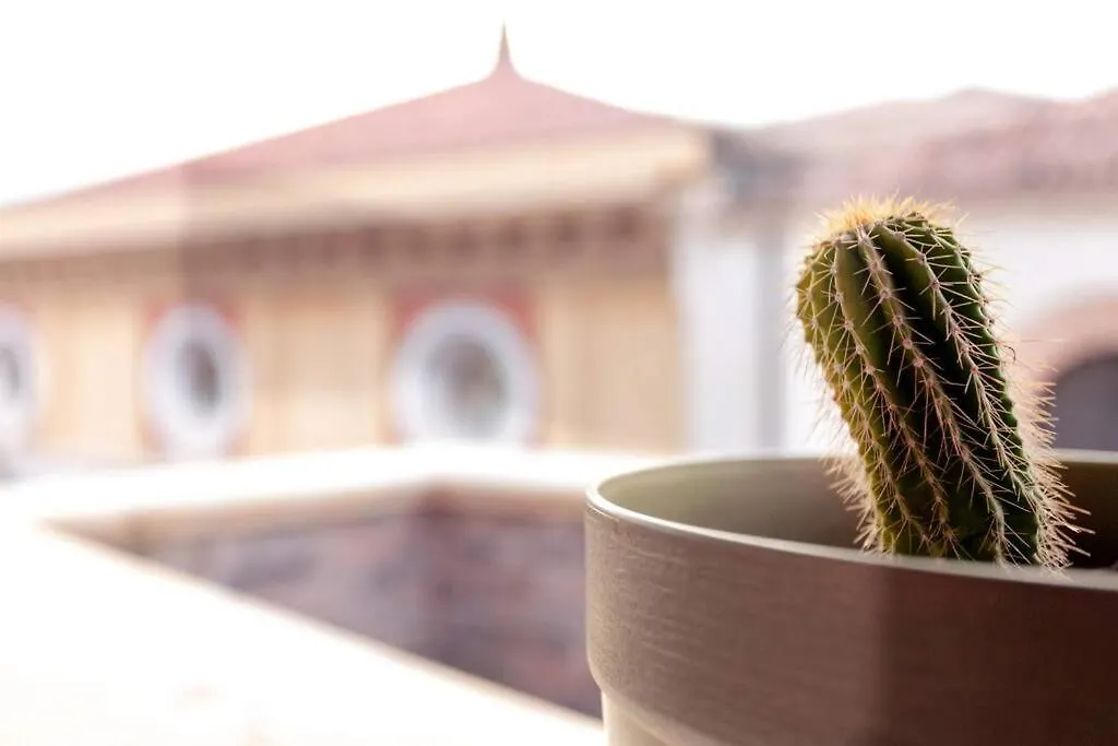 Awesome Terrace And Apartment In The City Centre 팔레르모 이탈리아