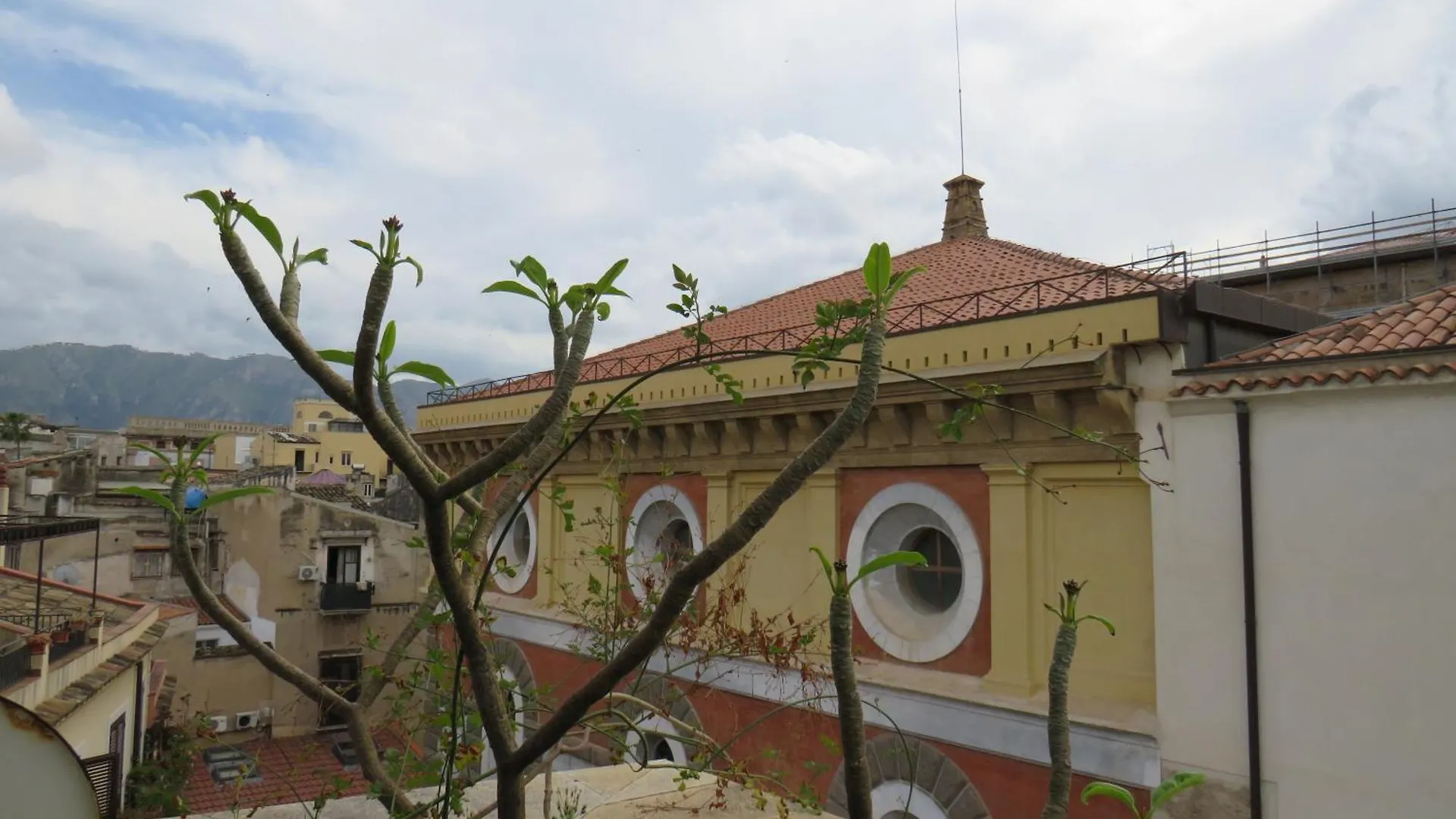 Awesome Terrace And Apartment In The City Centre 팔레르모