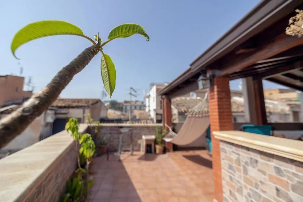 Awesome Terrace And Apartment In The City Centre Palermo