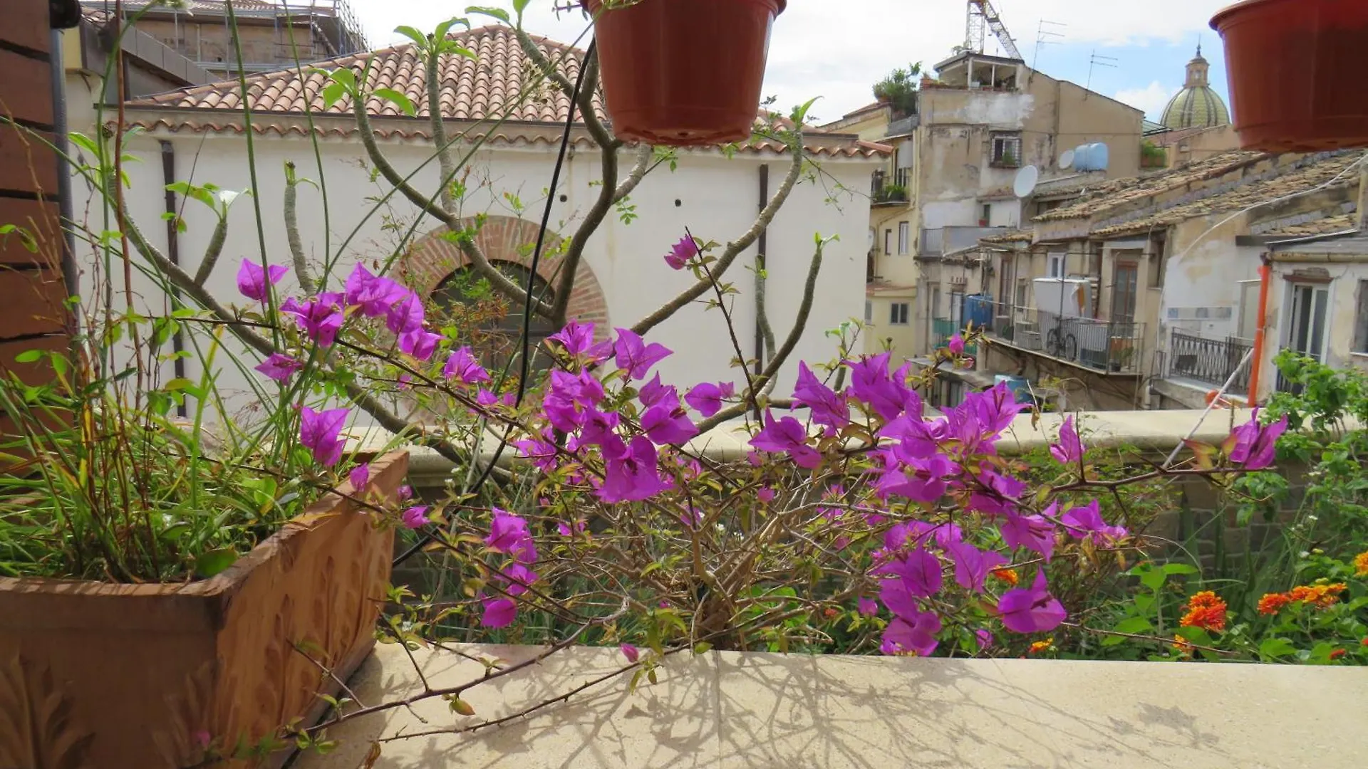 Awesome Terrace And Apartment In The City Centre Palermo 0*,